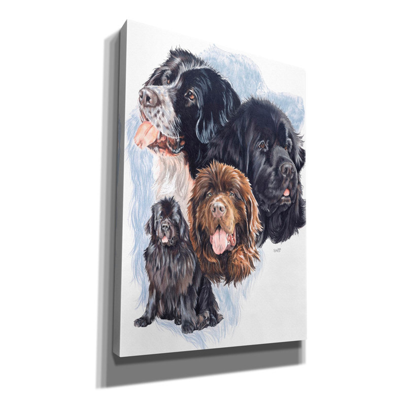 «Keanne New Foundland On Canvas» par Barbara Keith, reproduction, H 26 po x l 18 po x P 0,75 po