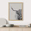 «Hignland Cow Portrait noir et blanc Shetland bovins» sur papier-98265838-98265841