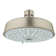 Rainshower™ Rustic Rain Shower Head with DreamSpray