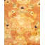 Tapis jaune / rouille traditionnel noué à la main de conception unique 6 pi 2 po x 8 pi 10 po Keenan