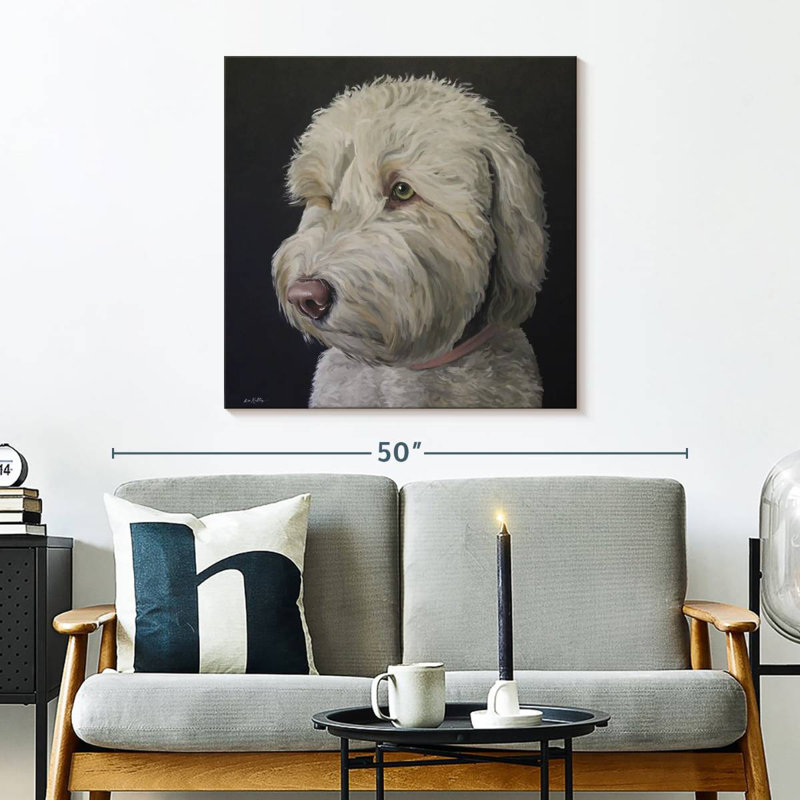 Crowle Labradoodle Goldendoodle, 30" H x 30" W