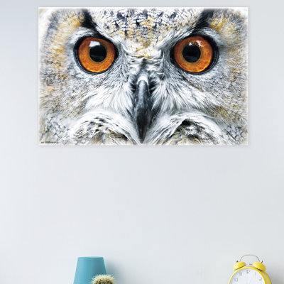 Impression sur papier hibou-close