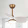 Haywa 28'' Ceiling Fan with LED Lights