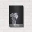Daisies de Lori Deiter-2138930723