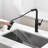 Single Handle Kitchen Faucet with Accessories-93689750
