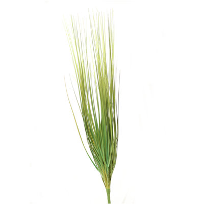 Herbe verte 25 po