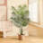 Adcock Artificial Palm Plant in Pot-1326156691
