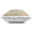 Coussin décoratif imprimé coquillage Earthy Tone par June Erica Vess-116289844