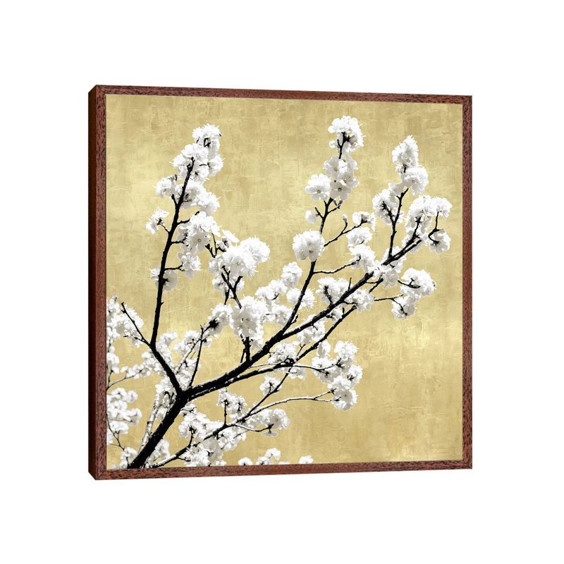 Blossoms On Gold II by Kate Bennett - Print on Canvas, 93.98cm H x 93.98cm W x 3.81cm D, Classic Brown Wood Framed