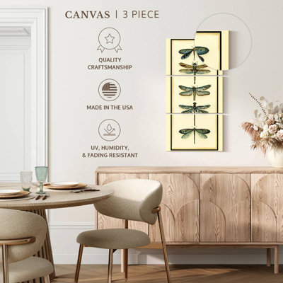 Dragonfly Collector I