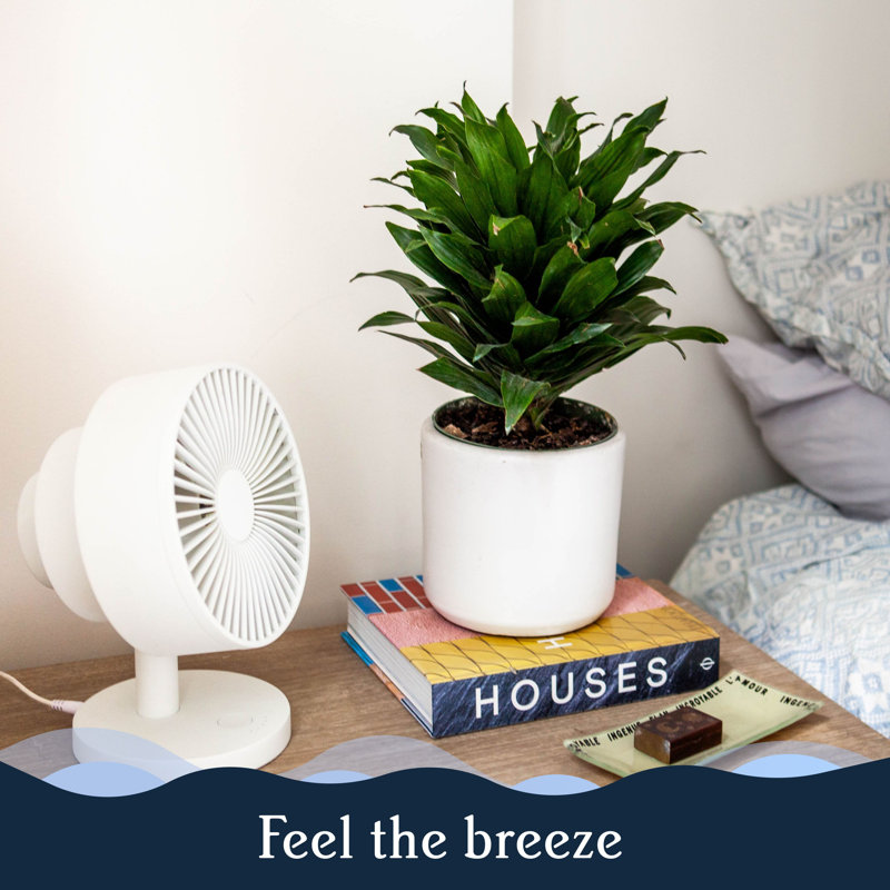Marine Blue Smart Whisper-Quiet Table Fan with Remote