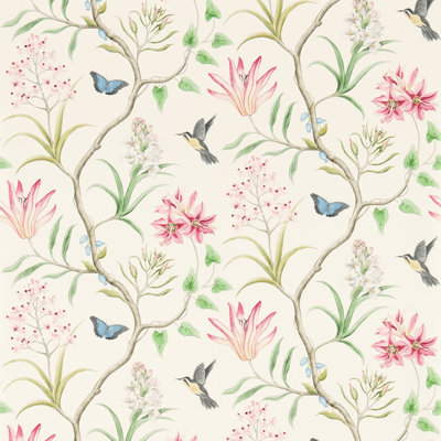 Clementine 10.05m x 68.6cm Matte Wallpaper Roll
