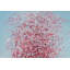 Reign Of Feelings Hand Painted Acrylic Painting