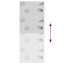Room Darkening Roller Blind-2138398527