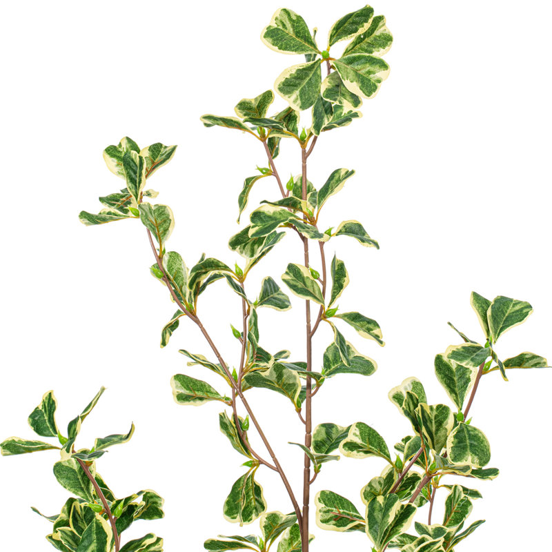 36" Artificial Variegated Triangle Ficus Potted