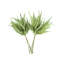 Fern Bundle (Set of 2)-214120564