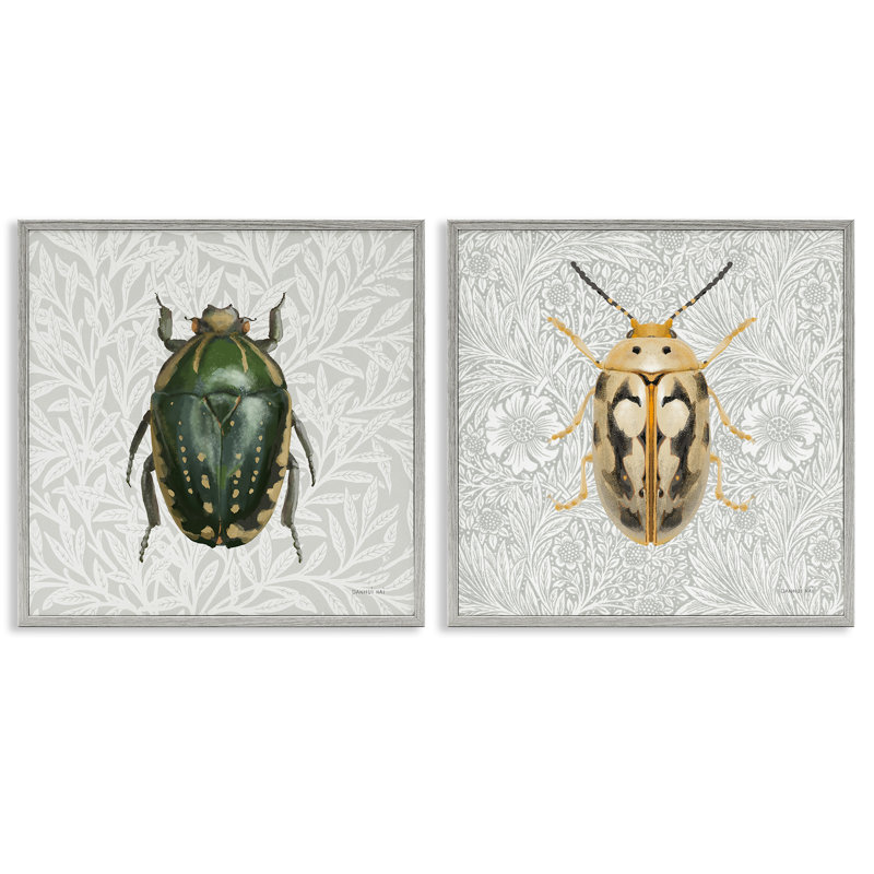 «Beetle Insect Portrait», ensemble de 2 giclées par Danhui Nai, Estampe numérique Farmhouse, H 12 po x l 12 po