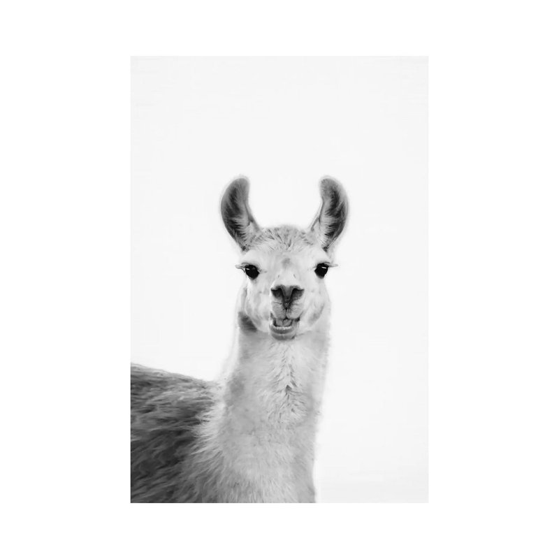 Happy Lama by Sisi & Seb - Wrapped Canvas Print, 101.6 cm H x 66.04 cm W x 1.91 cm D