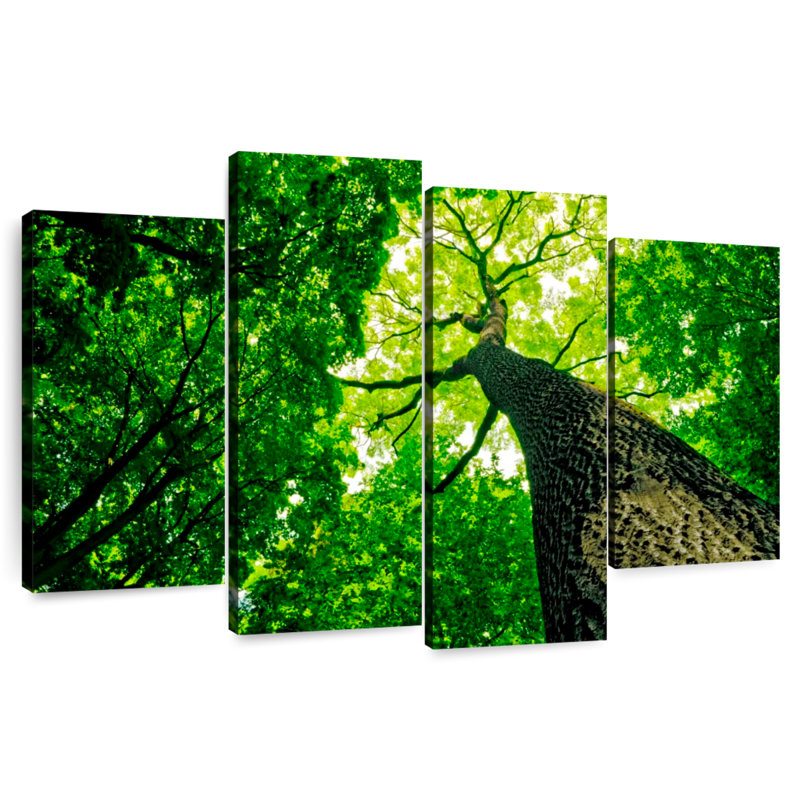 Harnek Forest Tree Canopy, 27" H x 43" W