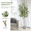 Arbre d'olivier 71,5 po