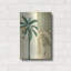 «Palm Study II» par NBL Studio-1952477436