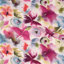 Fuchsia/Zest/Azure