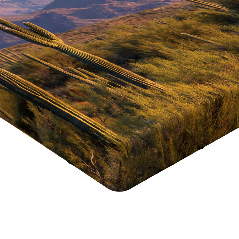 Drap-housse Saguaro, Drap-housse grand