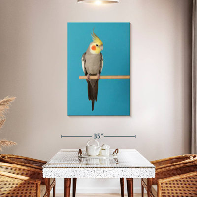 Brampt Cockatiel On Blue