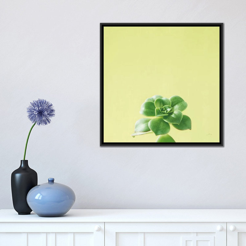«Succulent Simplicity VII», impression sur toile, H 18 po x l 18 po x P 1,5 po, Toile encadrée noire, Pas de tapis