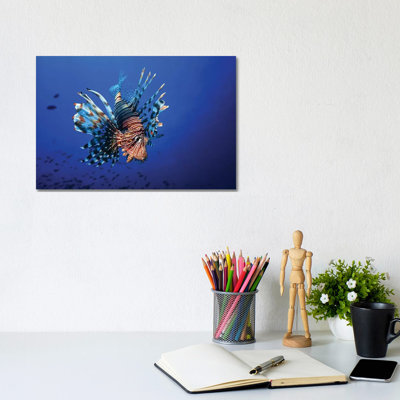 Lionfish 1 Piece Wrapped Canvas Wall Art