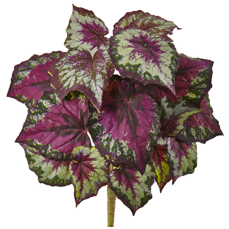 16'' Foliage Plant