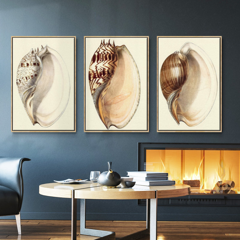 Splendid Shells I, ensemble de 3 toiles encadrées sur toile, H 27 po x l 54 po, Bois naturel