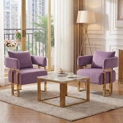 Modern Accent Chair Set of 2 with Gold Metal Legs, Teddy Upholstered Side Chairs for Living Room, Office & Reception