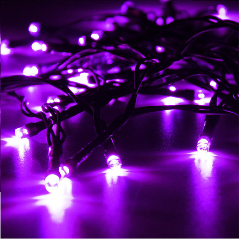 Mini guirlande de lumières DEL 17,06 po Ber, Mauve
