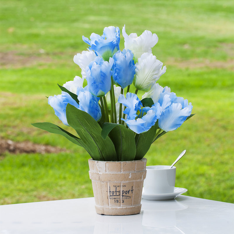 Arrangement floral de tulipes en pot