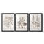 Sépia Besler Botanicals I - ensemble de 3 reproductions de cadres photo-69879056-69879058