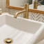 Lulani St. Lucia Single Hole Bathroom Faucet with Drain Assembly-50297475