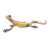 Yellow is out of stock