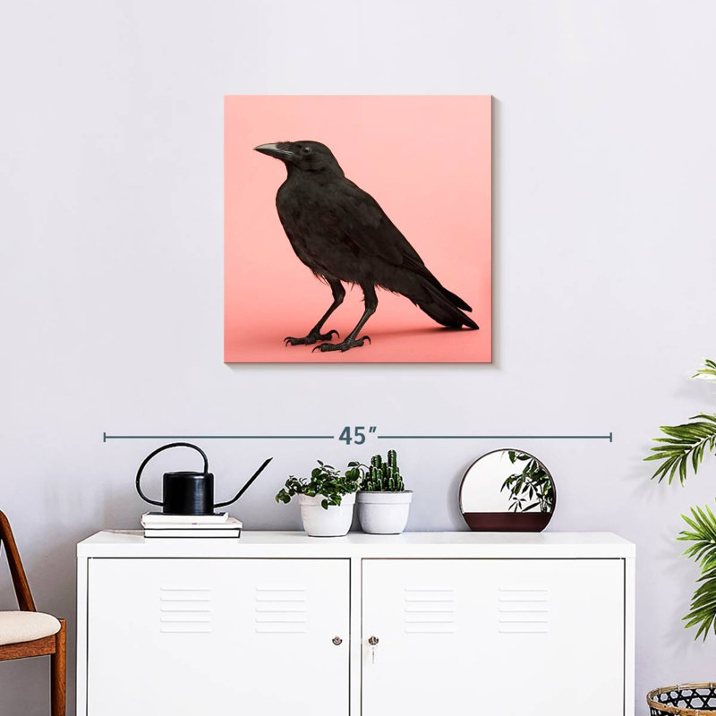 Corbeau noir Crowle