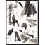 Element Oddities II Print by Richard Ryder-459886902