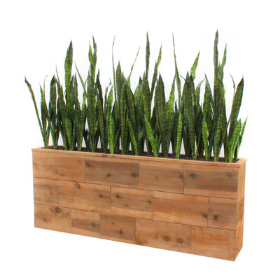 Faux Cactus Hedge in Wood Planter