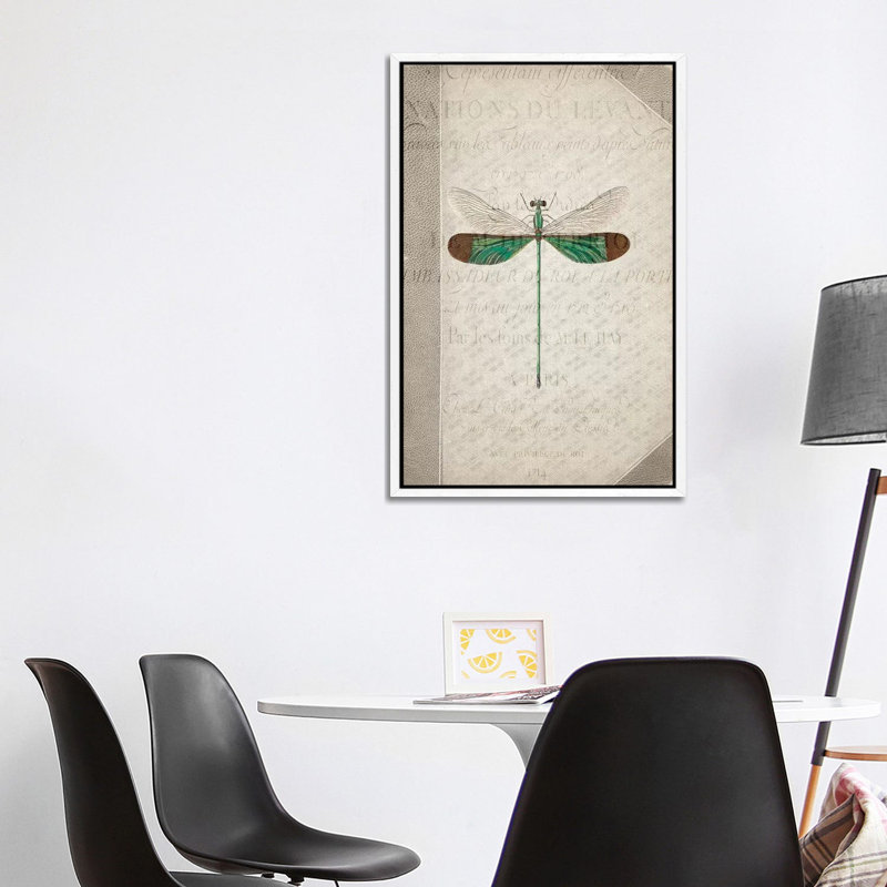 Dragonfly Book II by Kimberly Allen - Print on Canvas, 101.6cm H x 66.04cm W x 3.81cm D, White Framed