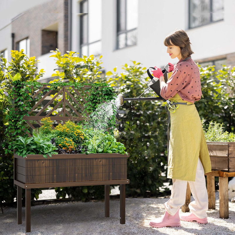 Lit de jardin surélevé exceptionnel pour plantes en plein essor et belles cours