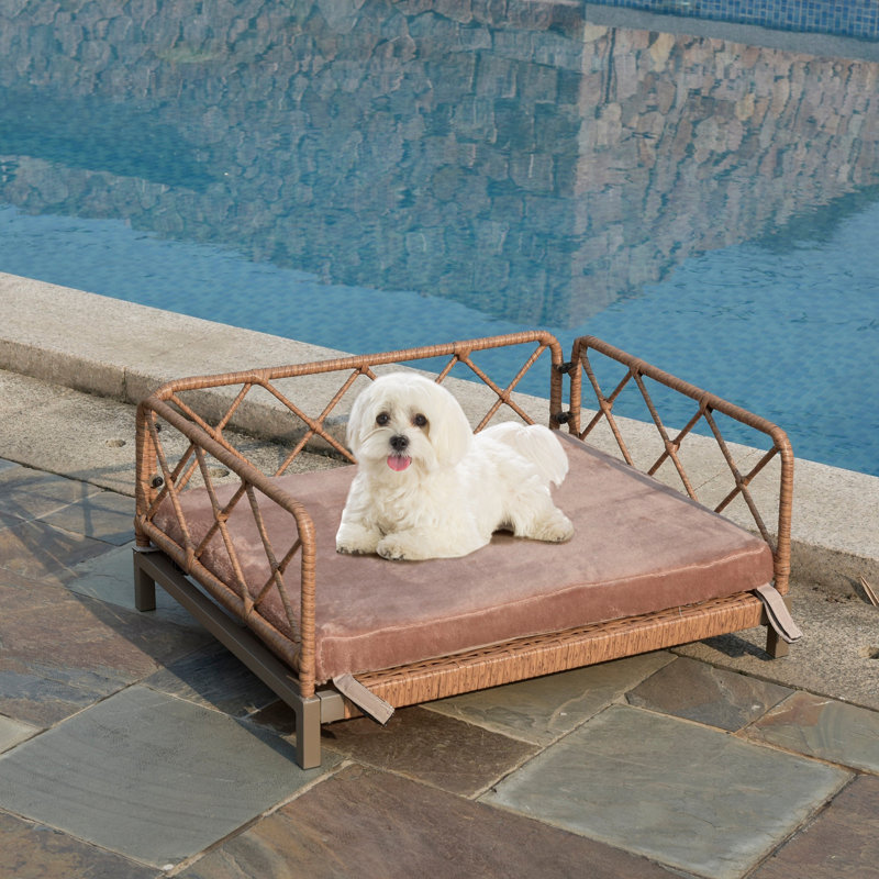 Lit pour animaux avec coussin moelleux, Marron clair