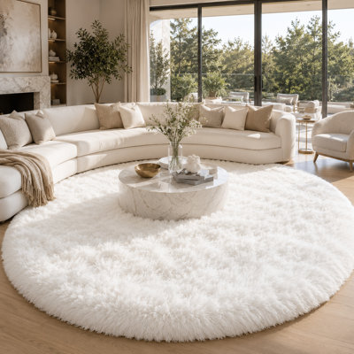 Ebern Designs Soft Fluffy White Shag Area Rug for Living Room Bedroom Nursery Kids Room