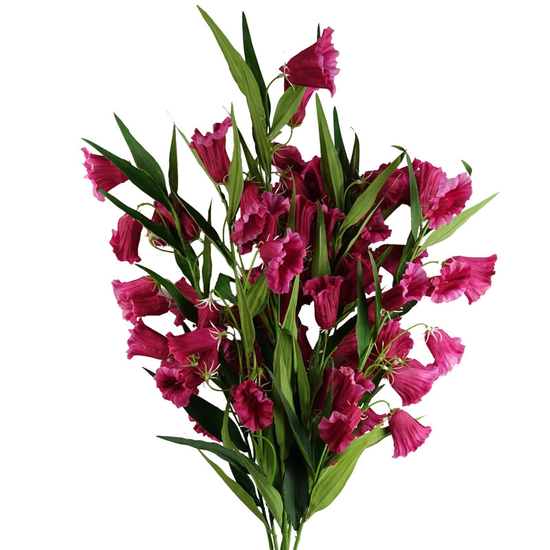 Antiqua Arrangement