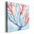 " Galapagos Coral "-1348773028