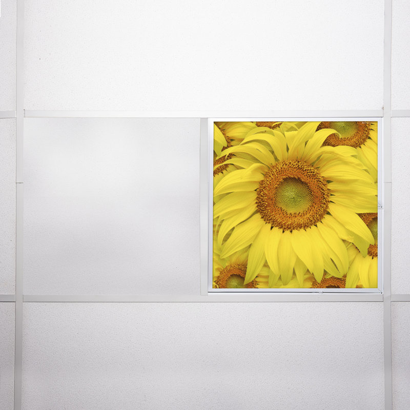 Flower Square Fixture Component Ceiling Light