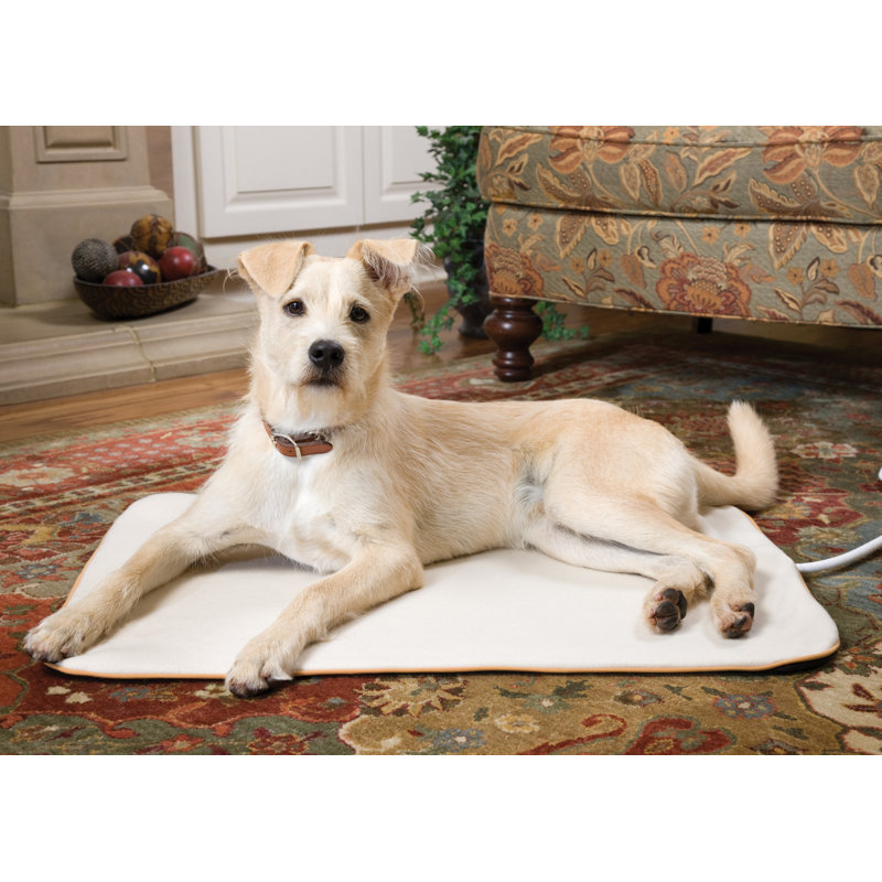 Heated Wellness Pet Pad, Medium (26" x 16")