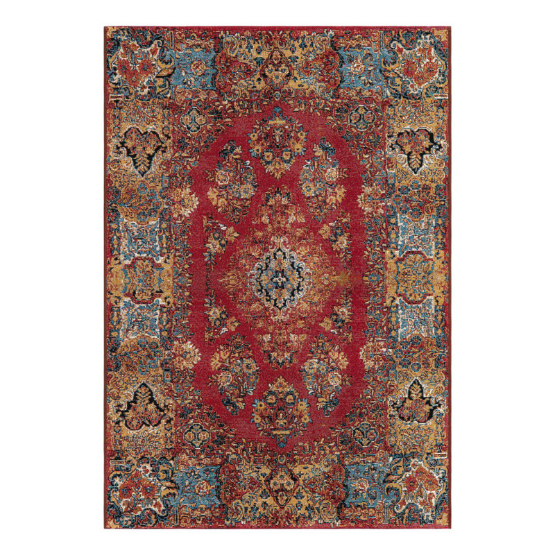 Indoor/Outdoor Traditional Area Rug, Rectangle 4'1" x 6'1"